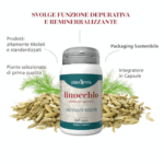 Finocchio – capsule