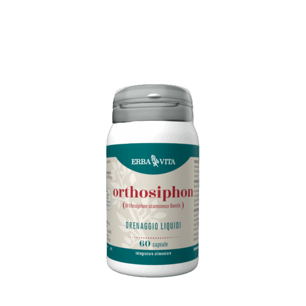 Orthosiphon – capsule