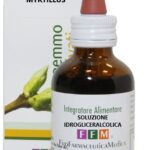 Vaccinum myrtillus - Gemmoderivato