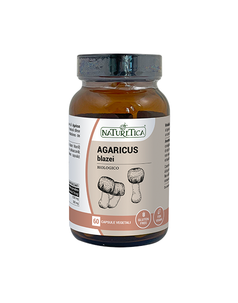 Agaricus Blazei