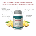Ananas Gambo – capsule