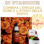 Vivacity & Ginseng - Preparati al Cambio di Stagione