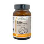 Chaga Inonotus Obliquus