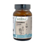 Coprinus comatus