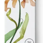 Crema Detergente Dr.Hauschka