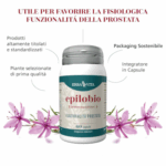 Epilobio - capsule