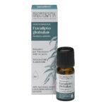 Olio Essenziale di Eucalipto Globulus Bio