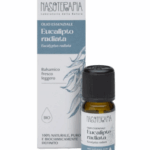 Olio Essenziale di Eucalipto Radiata