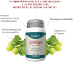Ginkgo Biloba – capsule