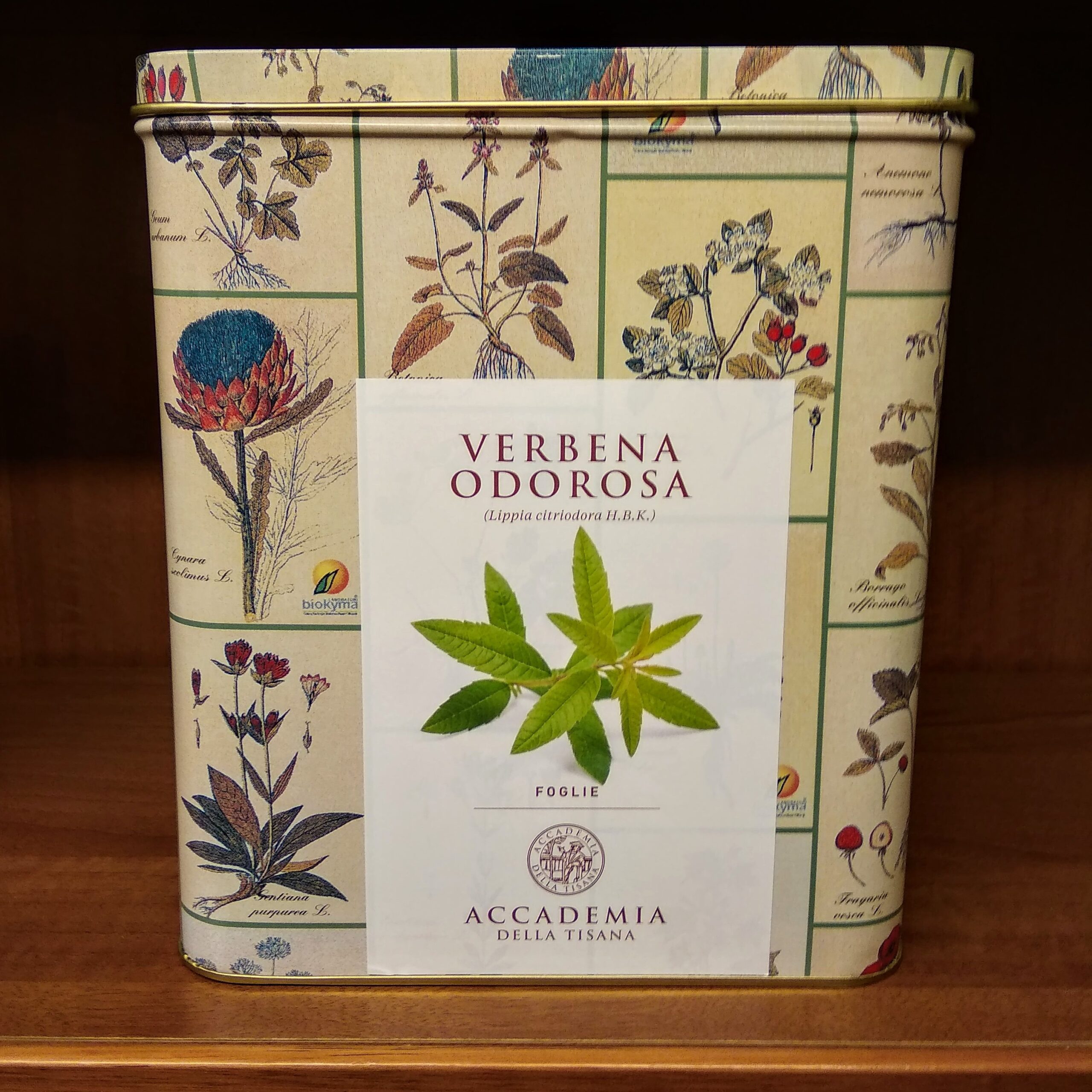 Verbena Odorosa Bio