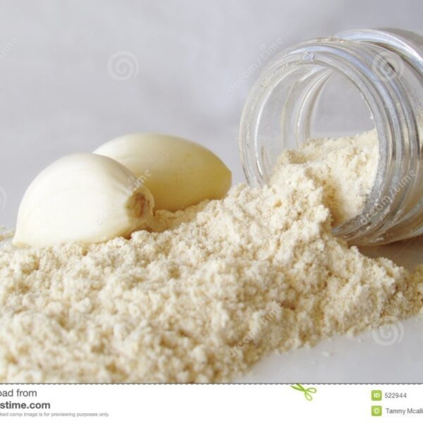 Aglio bulbo polvere
