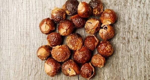 Noce Saponari frutto intero - Uso esterno