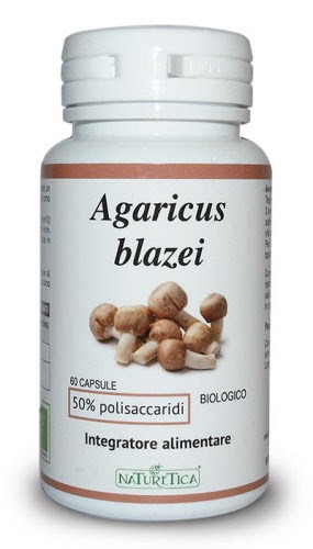 AGARICUS BLAZEI