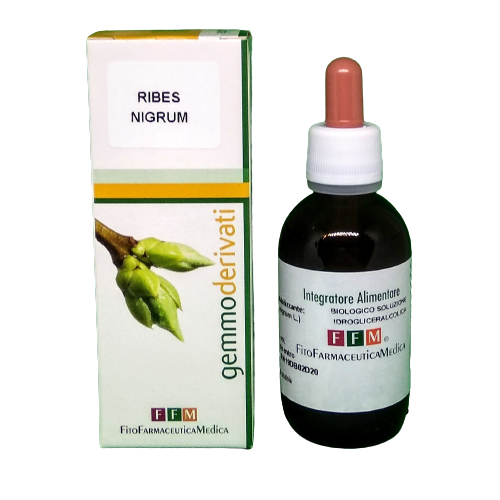 Ribes Nero Macerato Glicerico - 50mL