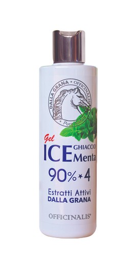 Ice Gel 90% dalla Grana