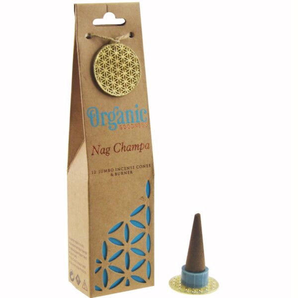 Incenso in coni Nag Champa con brucia cono