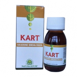 dammiana Soluzione idroalcolica Kart