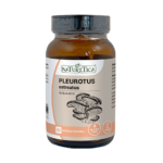 Pleurotus Ostreatus