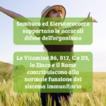Sambuco Formula - immagine 3