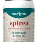 Spirea Ulmaria – capsule