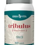 Tribulus terrestris - capsule