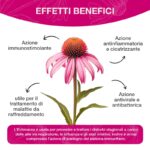 Echinacea Benefit Tus Soluzione - immagine 3