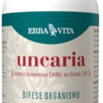 Uncaria – capsule